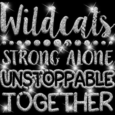 GLT87   SILVER GLITTER Thumbnail