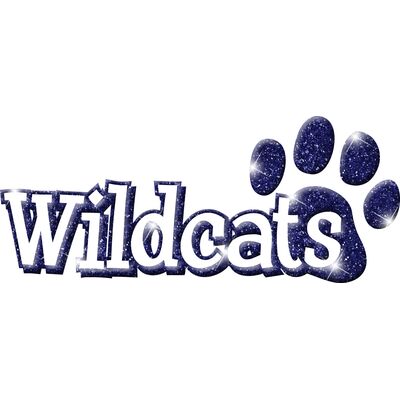 GLT17   BLUE GLITTER Thumbnail